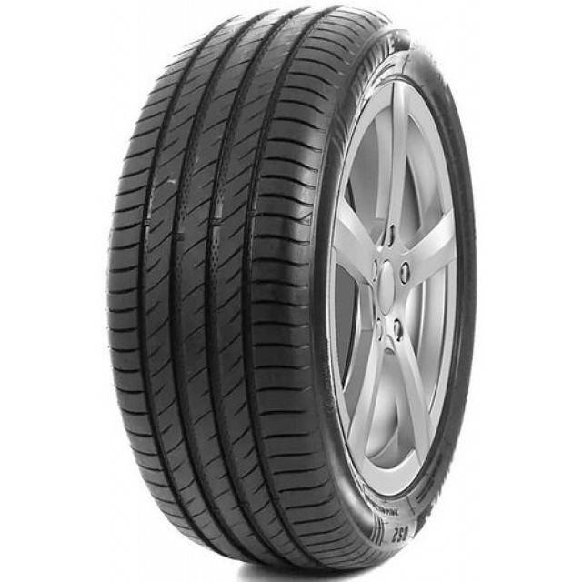 Delinte DS2 SUV 225/55 R18 102W