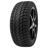 DELINTE WD6 225/55 R16 99V